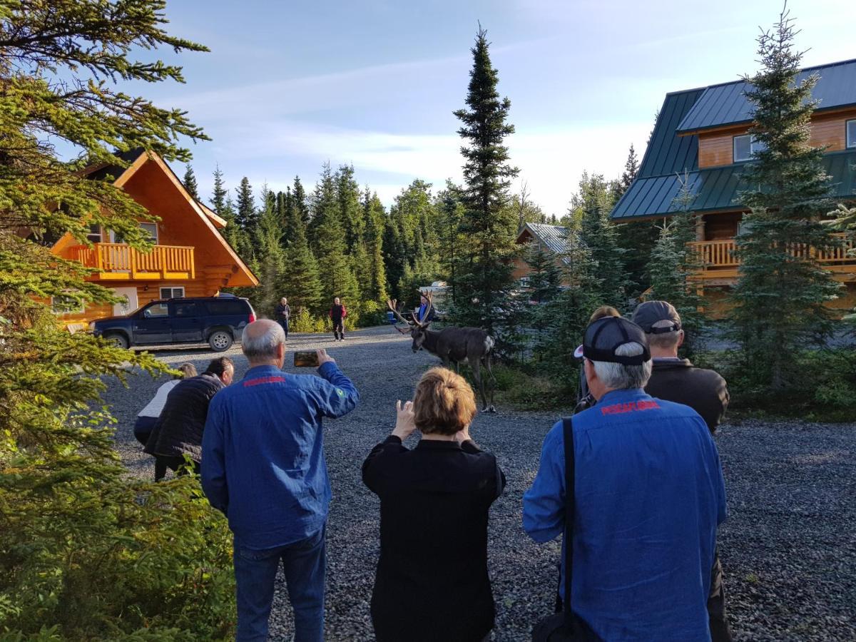 Salmon Catcher Lodge Kenai Dış mekan fotoğraf